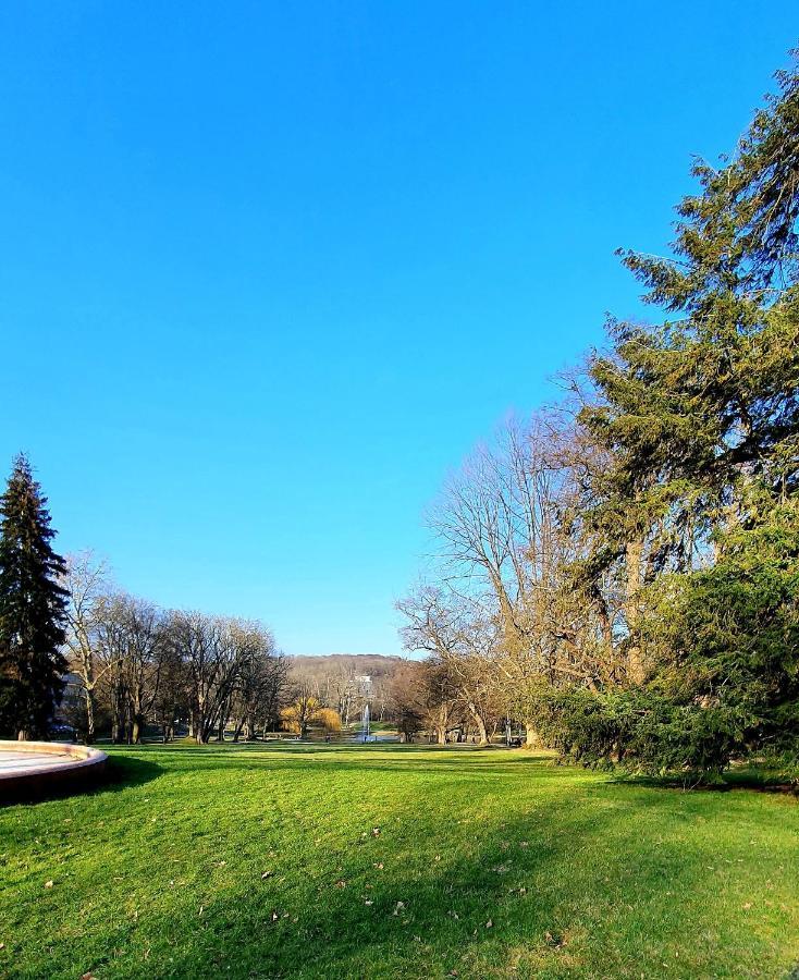 Privat Zimmer In Bad Homburg Bei Kurhaus 巴特洪堡 外观 照片
